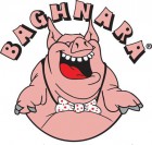 logo-baghnara