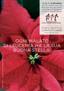 immagine-stelle-di-natale-ail-2015